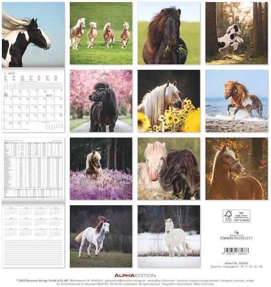 Pony Kalender 2024