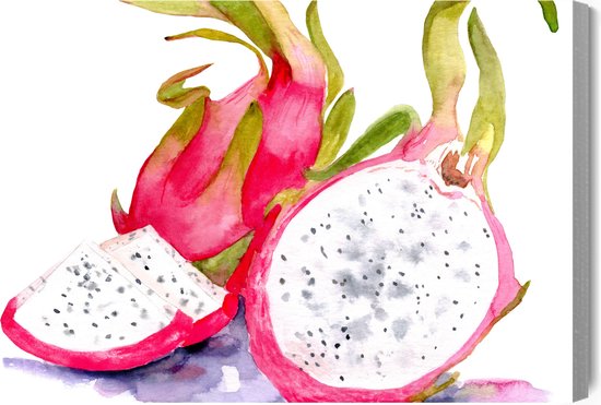 Schilderijkoning - Canvas Schilderij Aquarel Drakenfruit - 70 x 50 cm