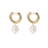 The Jewellery Club - Small pearl earrings gold - Oorbellen - Dames oorbellen - Parel oorbellen - Stainless steel - Hanger - 4 cm