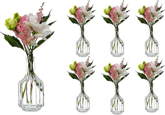 Babyflesje - 6 x kleine vazen glazen flessen HALSI glazen flesjes Landhuis vintage vaas fles glas helder mini decoratieflessen (6 x)