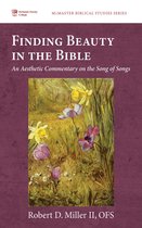 McMaster Biblical Studies Series 11 - Finding Beauty in the Bible