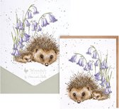 Wrendale Kaartenset - 8 stuks - Love and Hedgehugs- Hedgehog Notecard Pack - 8 dubbele kaarten met envelop