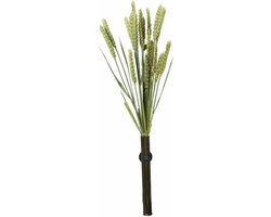 Millet Tarwe 50 Gr - Back Zoo Nature - Natuurlijke Vogelvoeding - Gezonde Snack voor Vogels en Knaagdieren