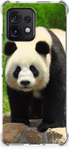 TPU Siliconen Hoesje Motorola Edge 40 Pro GSM Hoesje met doorzichtige rand Panda