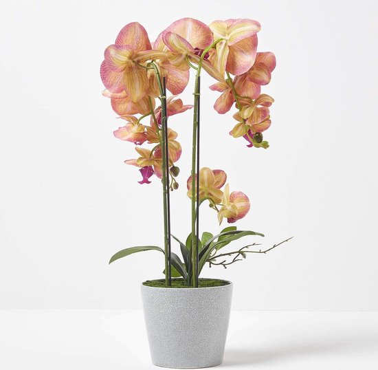 Grote kunstorchidee in pot, hoge kunstorchidee met percicle bloemen, decoratieve orchidee Phalaenopsis in grijze keramische pot, kunstbloemen, 58 cm hoog