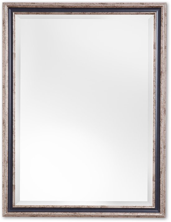 Miroir Classique 50x110 cm Argent - Abby