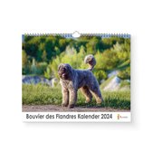 Kalender 2024 - Bouvier des Flandres - 35x24cm - 300gms - Spiraalgebonden - Inclusief ophanghaak