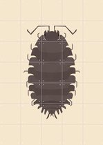 IXXI Woodlouse - Wanddecoratie - Dieren en insecten - 100 x 140 cm