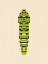 IXXI The Queen Page Caterpillar - Wanddecoratie - Dieren en insecten - 120 x 160 cm