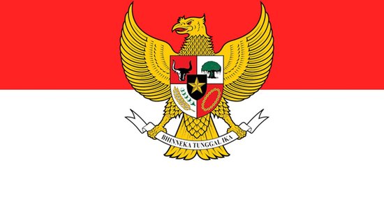 Foto: Vlag indonesie met garuda 30x45cm