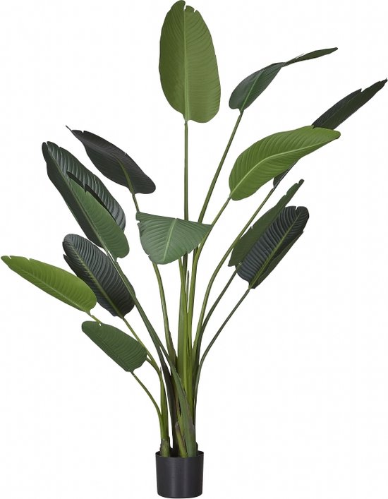 Plantophile - Strelitzia XL - kunstplant - per stuk