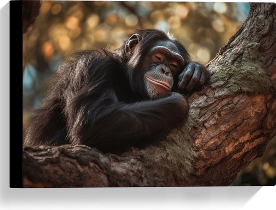 Canvas - Rustende Chimpansee Aap op Dikke Boomstronk - 40x30 cm Foto op Canvas Schilderij (Wanddecoratie op Canvas)