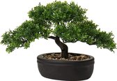 Kunstmatige bonsai Levensechte kunstplant kunstboom bonsai ceder dennen Podocarpus plastic plant kunstplant met keramische plantenbak in zwart voor badkamerdecoratie kantoor vensterbank