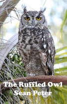 The Ruffled Owl