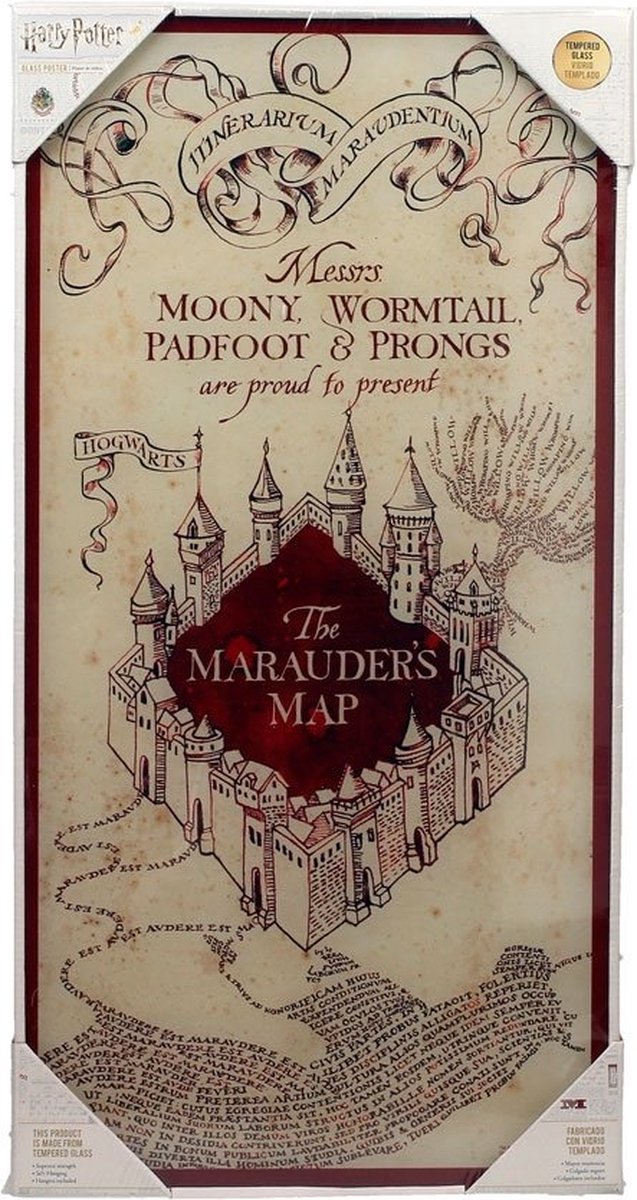 Cadre Harry Potter carte du maraudeur