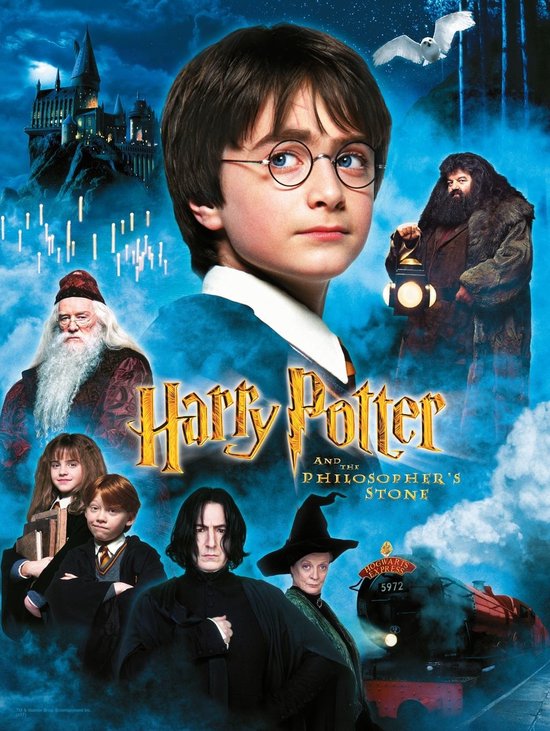 Harry Potter: The Philosopher's Stone 30 x 40 cm Glass Poster