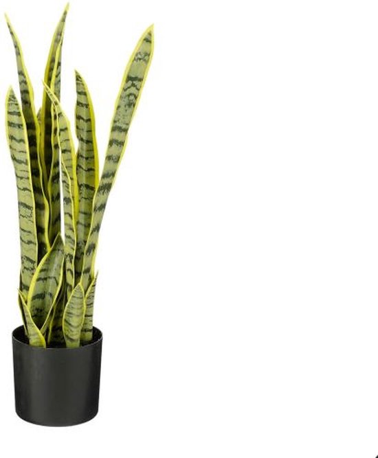 Mica Decorations Sanseveria Kunstplant - 15x15x57 cm - Groen