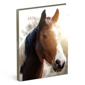 Lannoo Graphics - Diary 2024 - Agenda 2024 - MY FAVOURITE FRIENDS - Horse Brown - 7d/2p - 4Talig - 110 x 150 mm