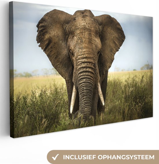 Canvas schilderij - Olifant portret 60x40 - Kamer decoratie accessoires natuur - Schilderijen woonkamer - Wanddecoratie slaapkamer dieren - Muurdecoratie keuken - Wanddoek binnen - Wall decoration - Woondecoratie huis - Woonaccessoires