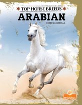 Top Horse Breeds - Arabian