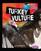 Odd Birds - Turkey Vulture