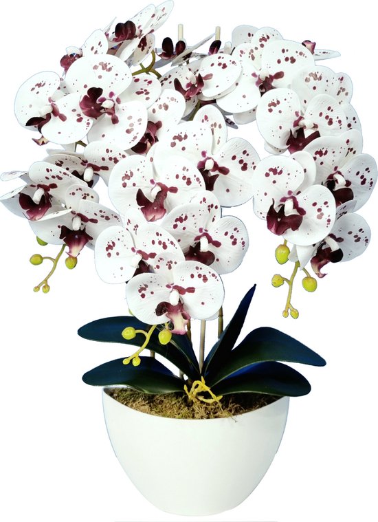 Orchidee artificielle blanche de 60 cm, Orchidées artificielles