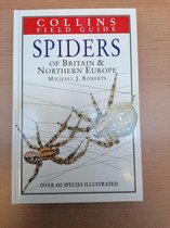 Field Guide Spiders Britain Northern Eur