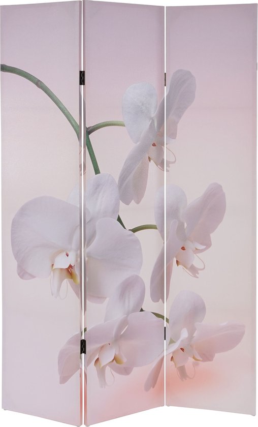 Fotoscherm T233, scheidingswand MVG-gecertificeerd 180x120cm ~ Orchid