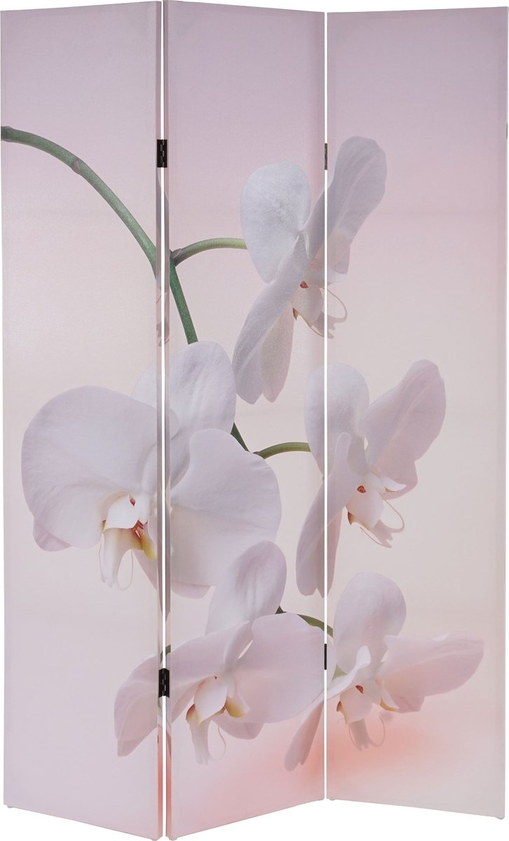 MCW Fotoscherm T233, scheidingswand MVG-gecertificeerd 180x120cm ~ Orchid