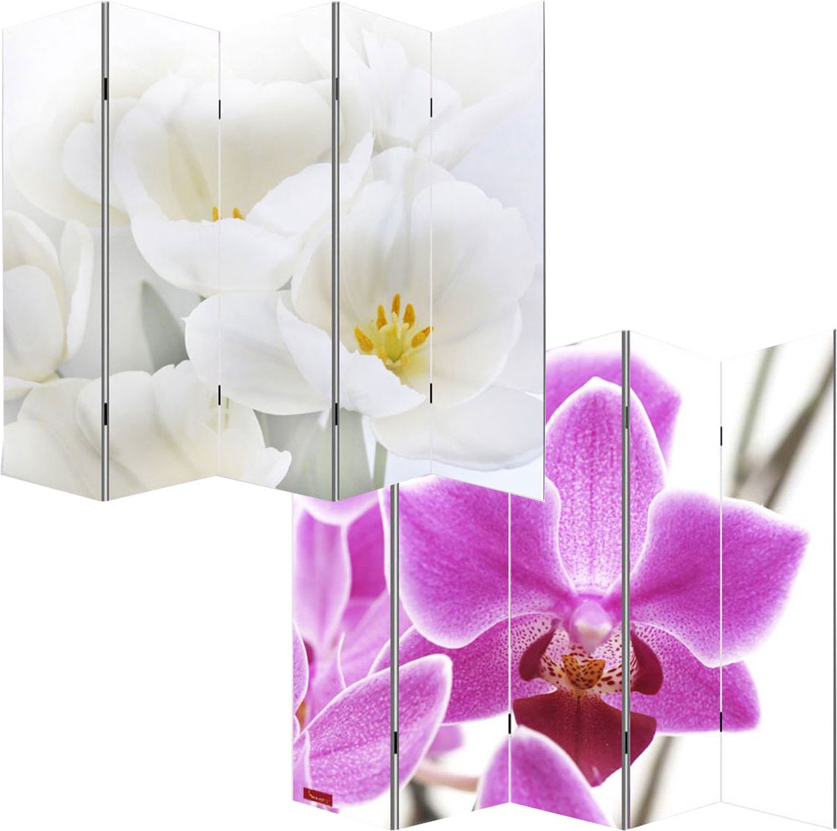 MCW Foto scherm kamerscherm scheidingswand M68 ~ 180x200cm, orchidee