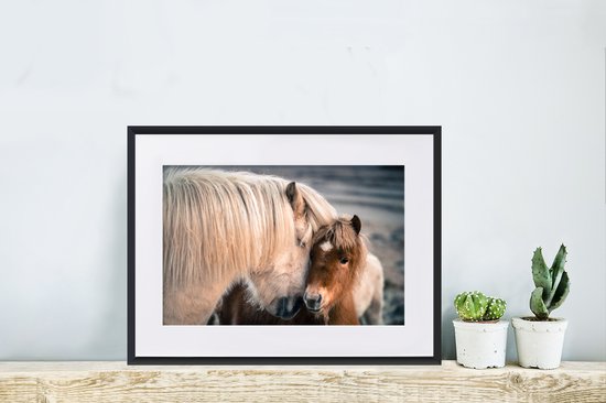 Affiche avec cadre Poney - Poulain - Câlin - 40x30 cm