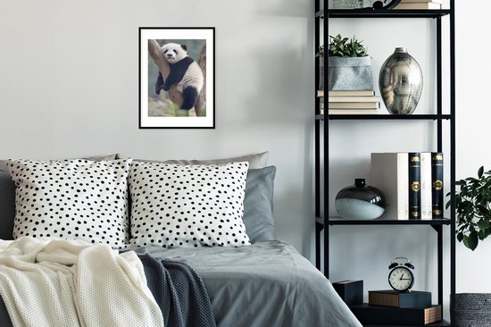 Jeune panda dort dans un arbre 30x40 cm - petit