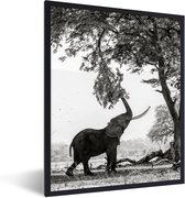 Fotolijst incl. Poster Zwart Wit- Olifant - Boom - Dieren - Zwart wit - 60x80 cm - Posterlijst