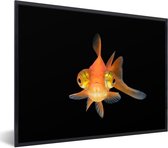 Photo encadrée - Télescope poisson rouge sur fond noir cadre photo noir sans passe partout 80x60 cm - Affiche encadrée (Décoration murale salon / chambre)