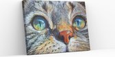 Schilderen op nummer – Katten ogen blauw - Yuko ®