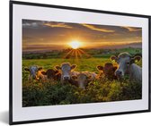 Image encadrée - Cadre photo Vaches en Irlande noir avec passe partout blanc 40x60 60x40 cm - Affiche encadrée (Décoration murale salon / chambre)