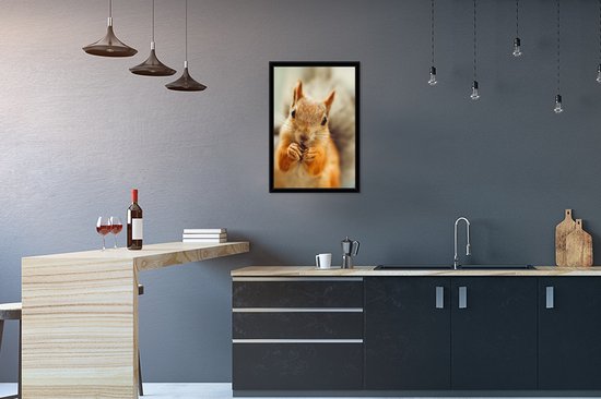 Photo encadrée - Cadre photo écureuil en gros plan noir sans passe-partout 40x60 cm - Affiche encadrée (Décoration murale salon / chambre)