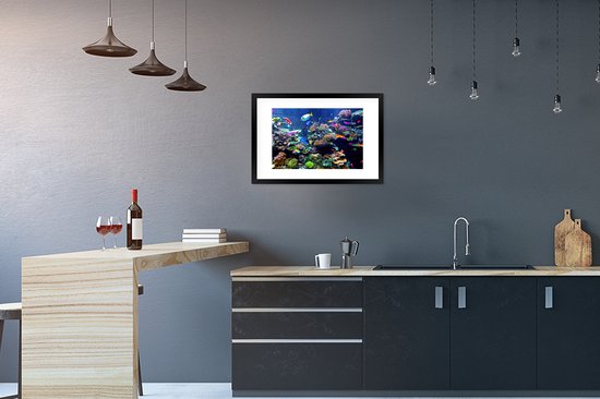 Affiche avec cadre Corail - Poisson - Aquarium - 60x40 cm