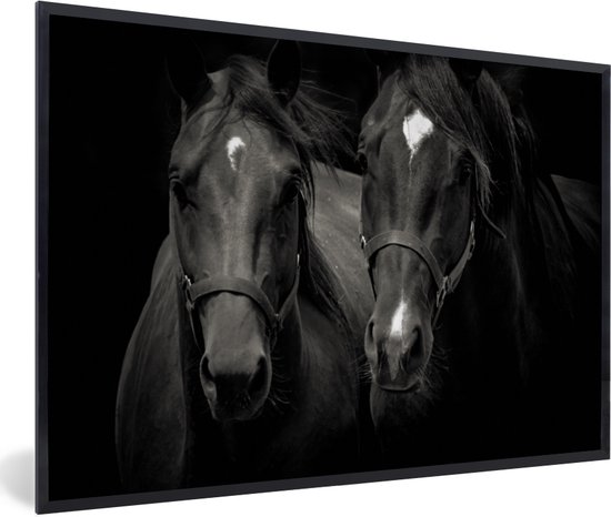 Affiche avec cadre Paarden - Animaux - Zwart - 30x20 cm