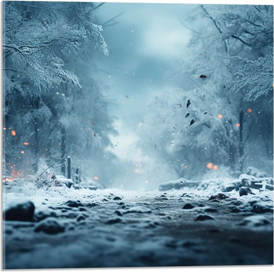 Acrylglas - Bomen - Sneeuw - Pad - Wit - Oranje - 50x50 cm Foto op Acrylglas (Wanddecoratie op Acrylaat)