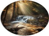 PVC Schuimplaat Ovaal - Bossen - Waterval - Water - Bomen - Stenen - 68x51 cm Foto op Ovaal (Met Ophangsysteem)