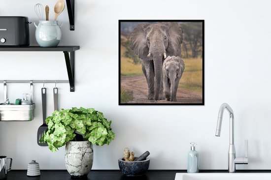 Affiche avec cadre Mère éléphant et son petit sur une route dans le cratère du Ngorongoro - 40x40 cm