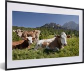 Photo en cadre - Trois vaches alpines sous un cadre photo bleu ciel noir avec passe-partout blanc 60x40 cm - Affiche sous cadre (Décoration murale salon / chambre)