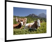 Photo en cadre - Trois vaches alpines sous un cadre photo bleu ciel noir avec passe-partout blanc xxl 120x80 cm - Affiche sous cadre (Décoration murale salon / chambre)