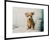 Photo dans le cadre - Un chiot est assis sur le canapé cadre photo noir avec passe-partout blanc grand 90x60 cm - Affiche dans le cadre (Décoration murale salon / chambre)