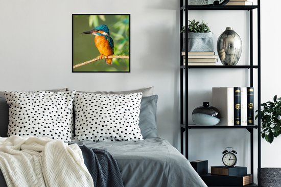 Poster - Cadre photo - Vogel - Martin pêcheur - Branche - Feuilles - 40x40 cm - Poster oiseaux - Poster sous cadre - Décoration murale nature - Poster animaux - Photo avec cadre - Posters - Cadre - Cadre affiche