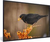 Poster - Fotolijst - Vogel - Merel - Winter - IJs - Bes - 30x20 cm - Poster kader - Wanddecoratie dieren - Poster natuur - Poster vogels - Frame poster