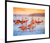 Poster - Cadre photo - Flamingo - Coucher de soleil - Vogel - Tropical - Cadre - 80x60 cm - Cadre affiche - Poster flamant rose - Poster animaux - Photo sous cadre - Décoration chambre