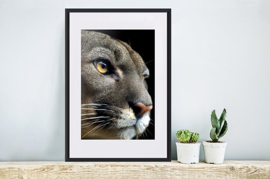 Cadre photo avec affiche - Puma - Animaux sauvages - Portrait - 40x60 cm - Cadre pour affiche