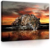 Peinture sur toile - Jaguar - Coucher de soleil - Guépard - Animaux - Ciel - Sauvage - Nature - Afrique - 100x75cm (LxL)